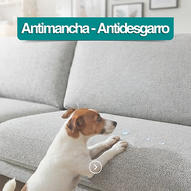 Antimancha/Antidesgarro