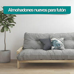 Almohadones Futon