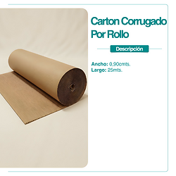Carton Corrugado